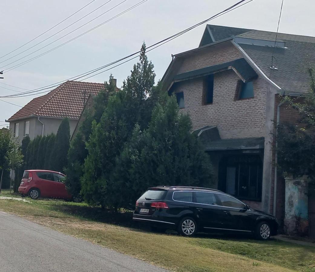 Appartement Kod Velikih Tuja à Melenci Extérieur photo