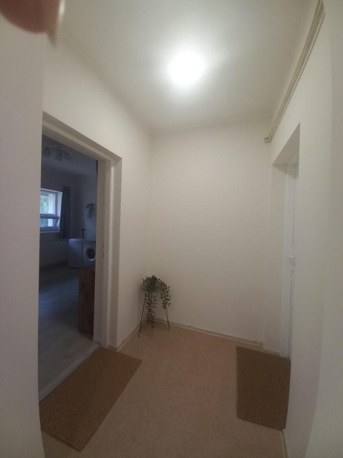 Appartement Kod Velikih Tuja à Melenci Extérieur photo